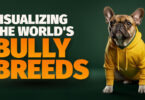 bully breeds