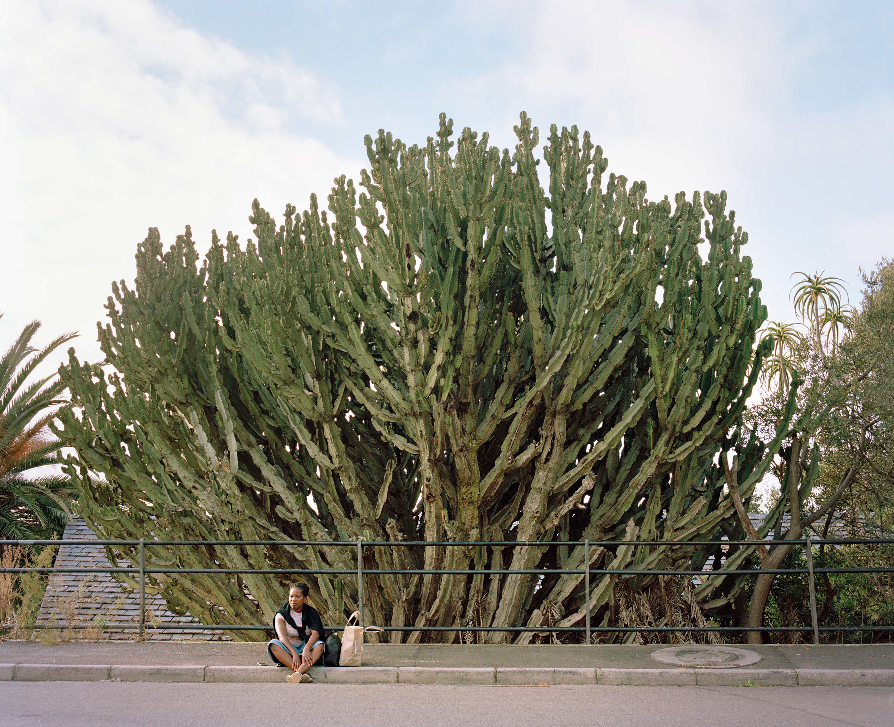 A street in Bantry Bay, an affluent suburb of Cape Town. (Sarah Nankin for TIME)