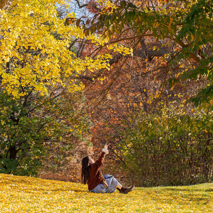 NYBG: All-Garden Pass