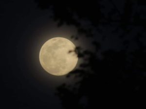 full moon