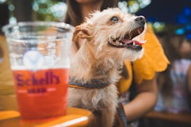 Everyone's welcome in the biergarten at Schell's Brewery in New Ulm.