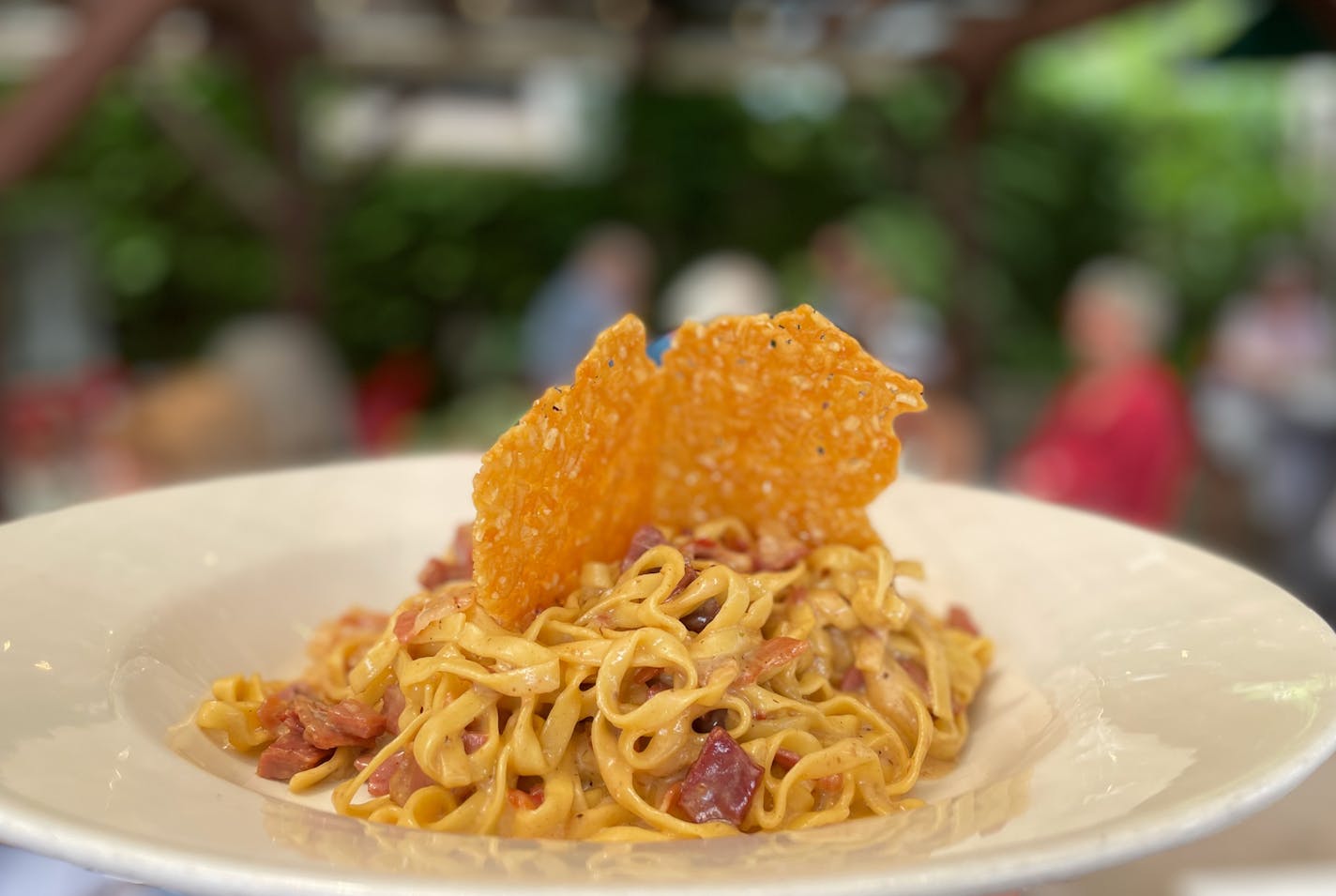 A plate of fresh pasta in a creamy sauce with diced pancetta held aloft on the patio at Broder's Pasta Bar.