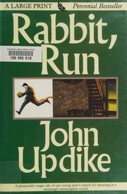 Cover of edition rabbitrun0000updi_z0p6