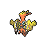 Tapu Koko