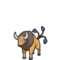 Tauros