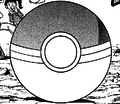 A Poké Ball in Ash & Pikachu