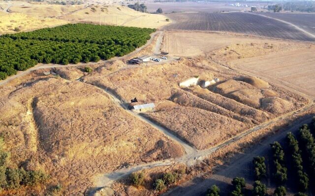 The 'Ubeidiya archaeological site in the Jordan Valley, where researchers found a 1.5 million-year-old human vertebra. (Dr. Alon Barash)