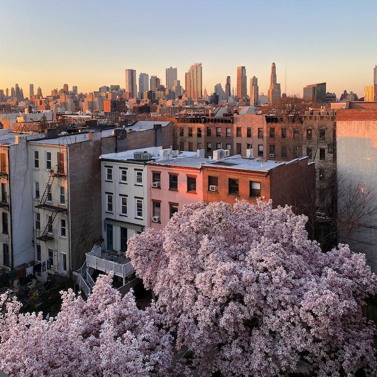 		city brownstones in the foreground, skyscrapers in the distance under a blue sky
	