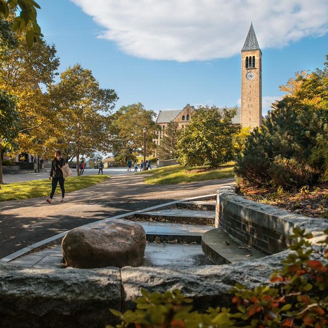 		Campus scene with a decorative stone wall in the foreground and a tower in the background
	