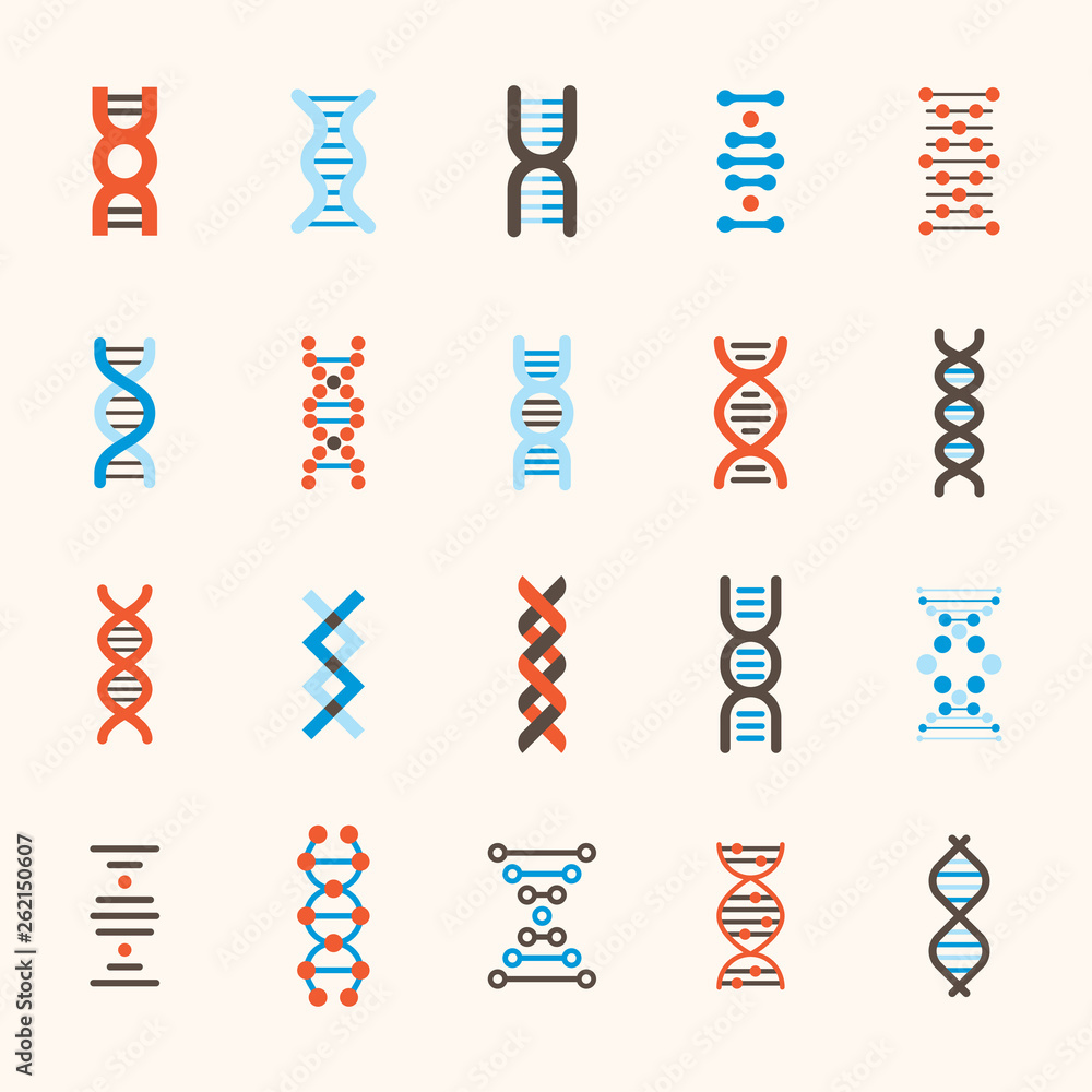 DNA patterns of various structures. flat design style minimal vector ...