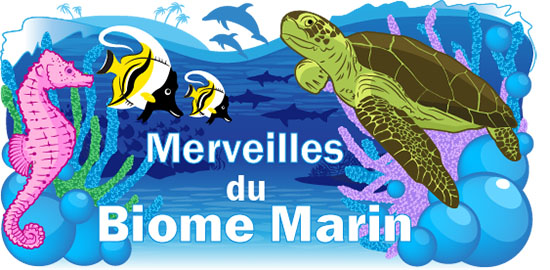 Merveilles du Biome Marin