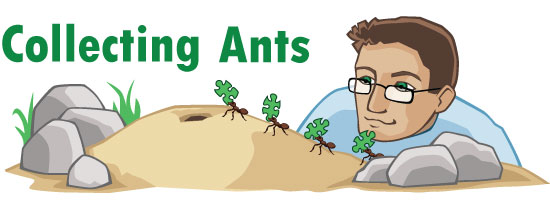 Collecting Ants