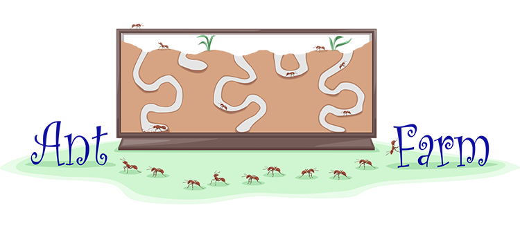 Ant Farm illustration