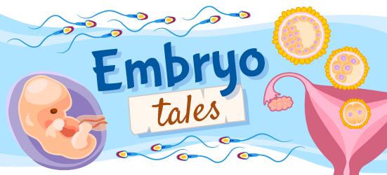 Illustration for "Embryo Tales,"  stories about embryology