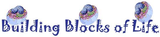 Cell Building Blocks