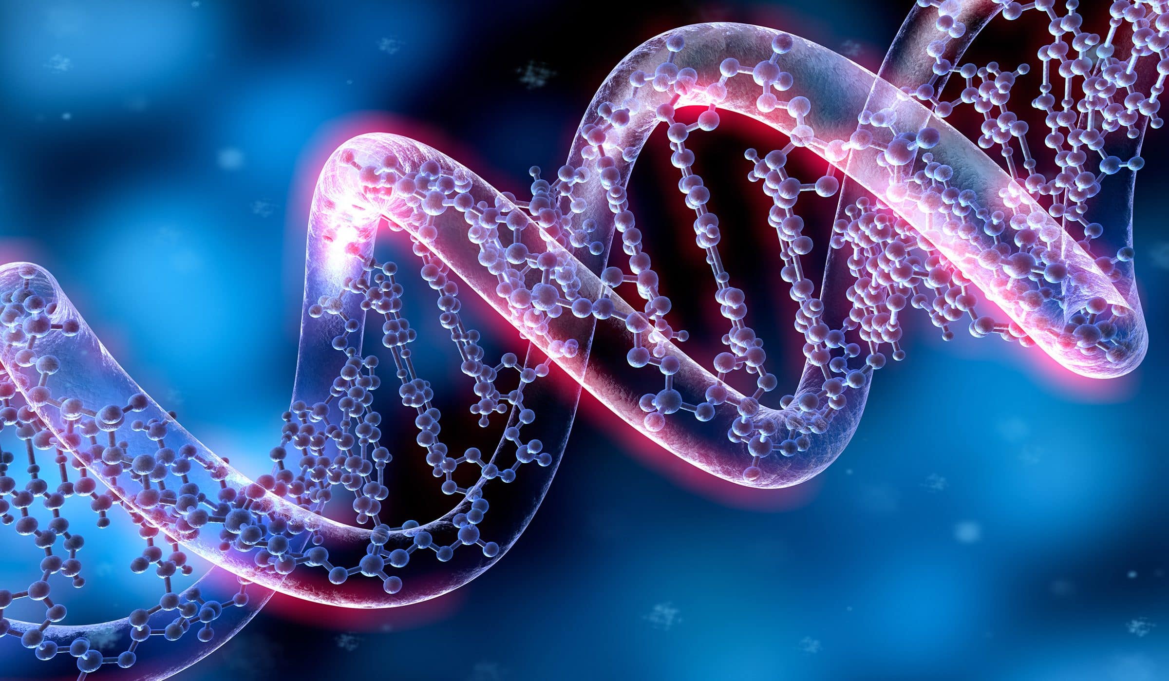 DNA Manipulative Enzymes