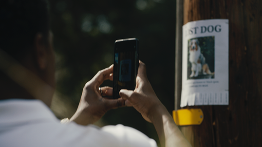 A person taking a photo of a poster of a lost dog.