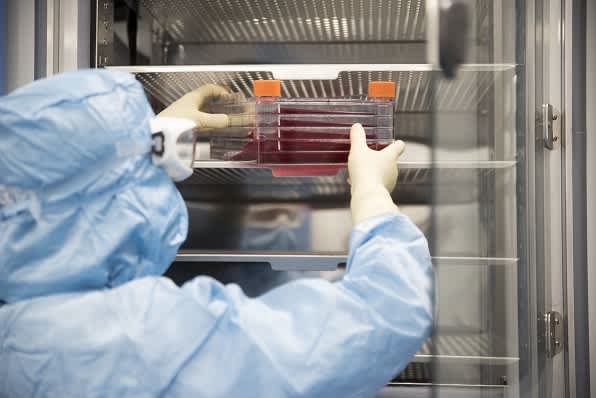 Person placing blood samples on shelf