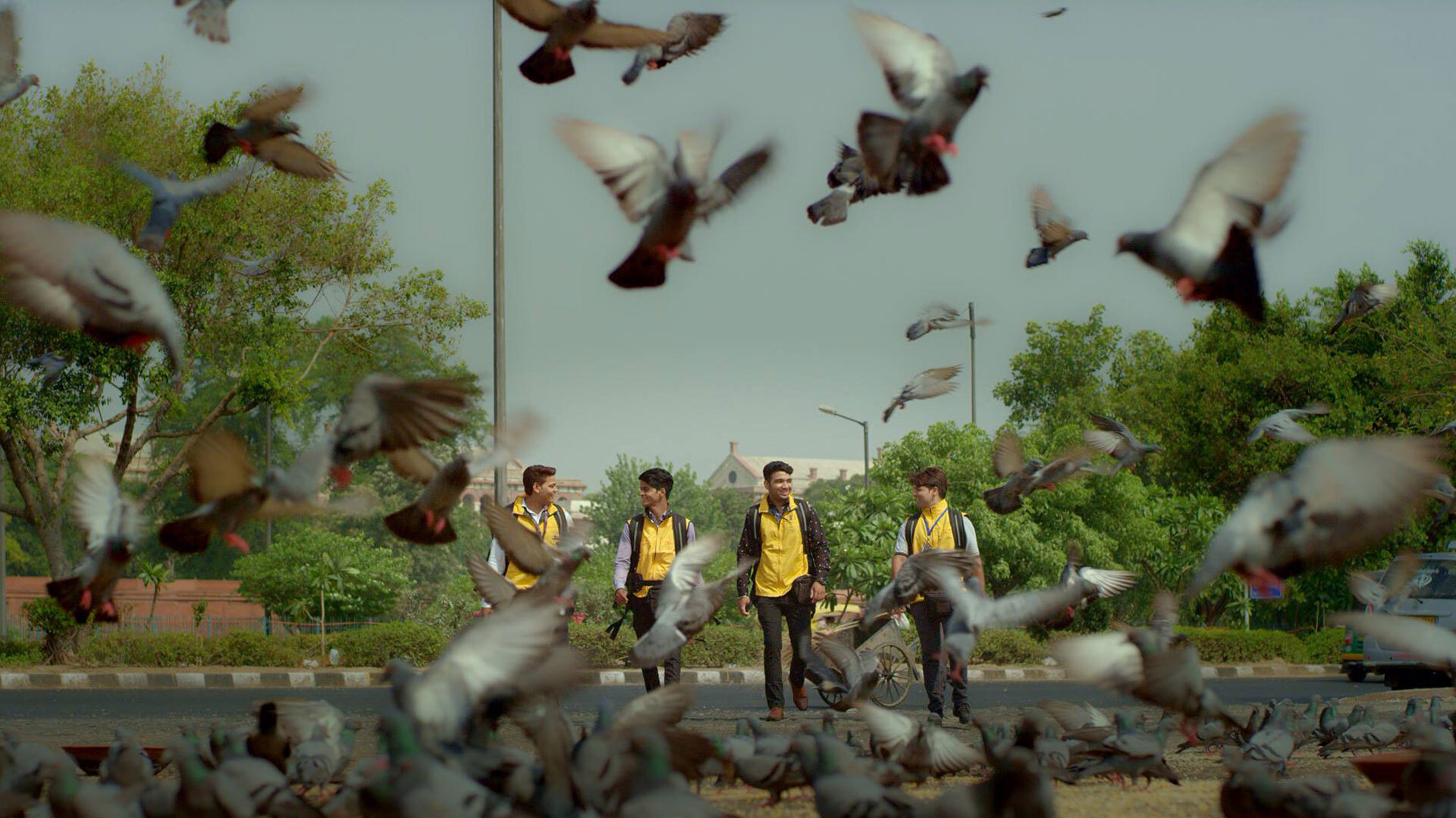 Four men in delivery vests walk next to a group of pigeons