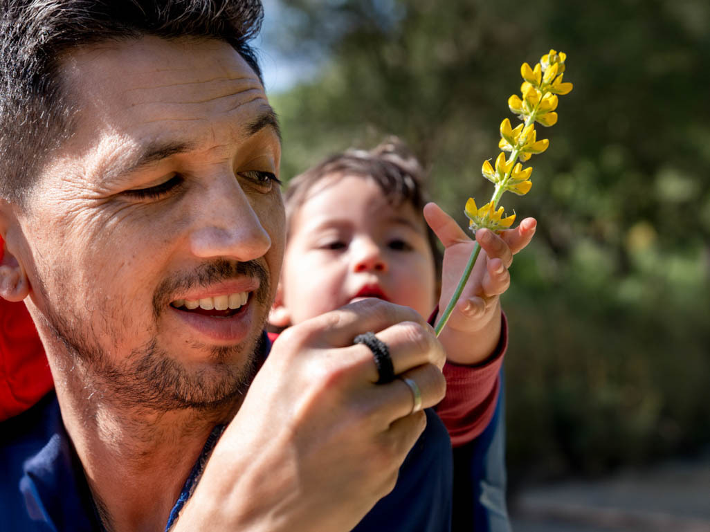 dad showing baby a wildflower