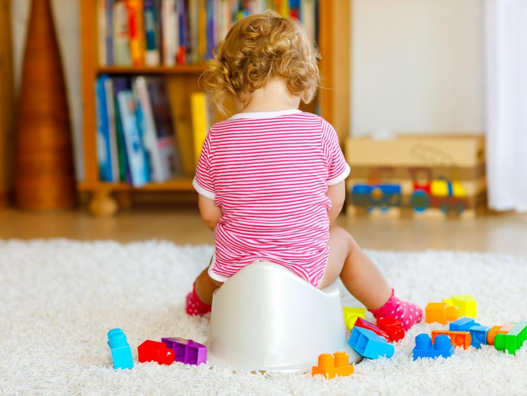 A toddler sitting on a potty training seat