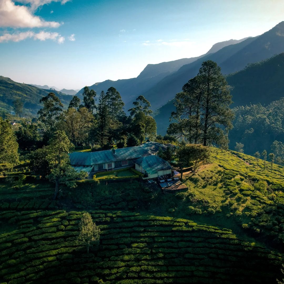 Image may contain Outdoors Nature Countryside Rural Farm and Aerial View