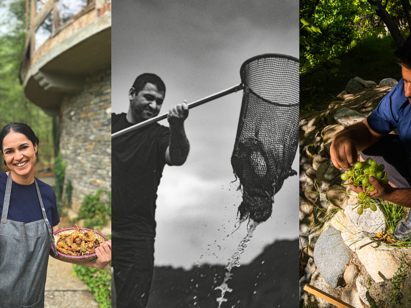 Top chefs reveal the truth about foraging in India