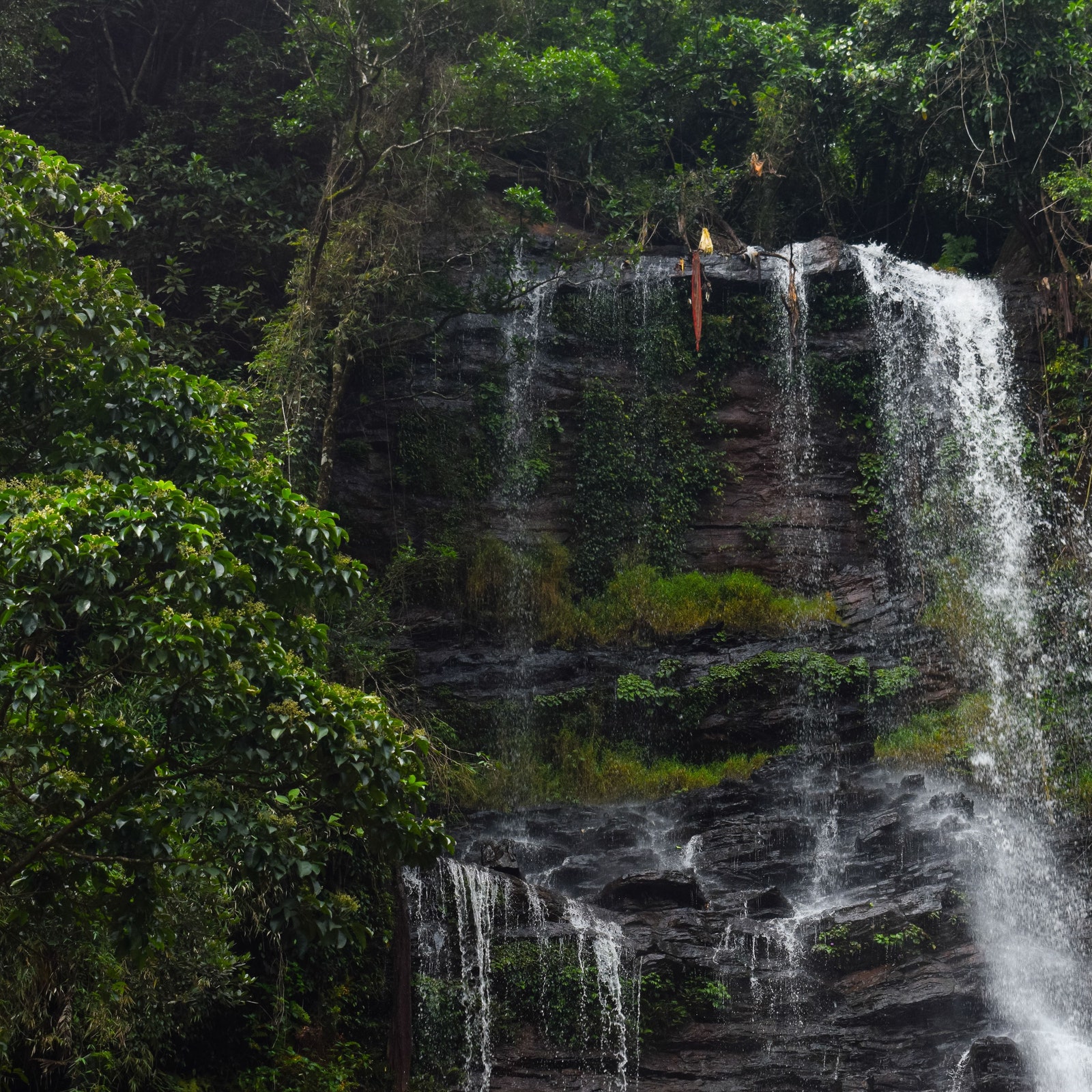 The best time to visit Chikmagalur