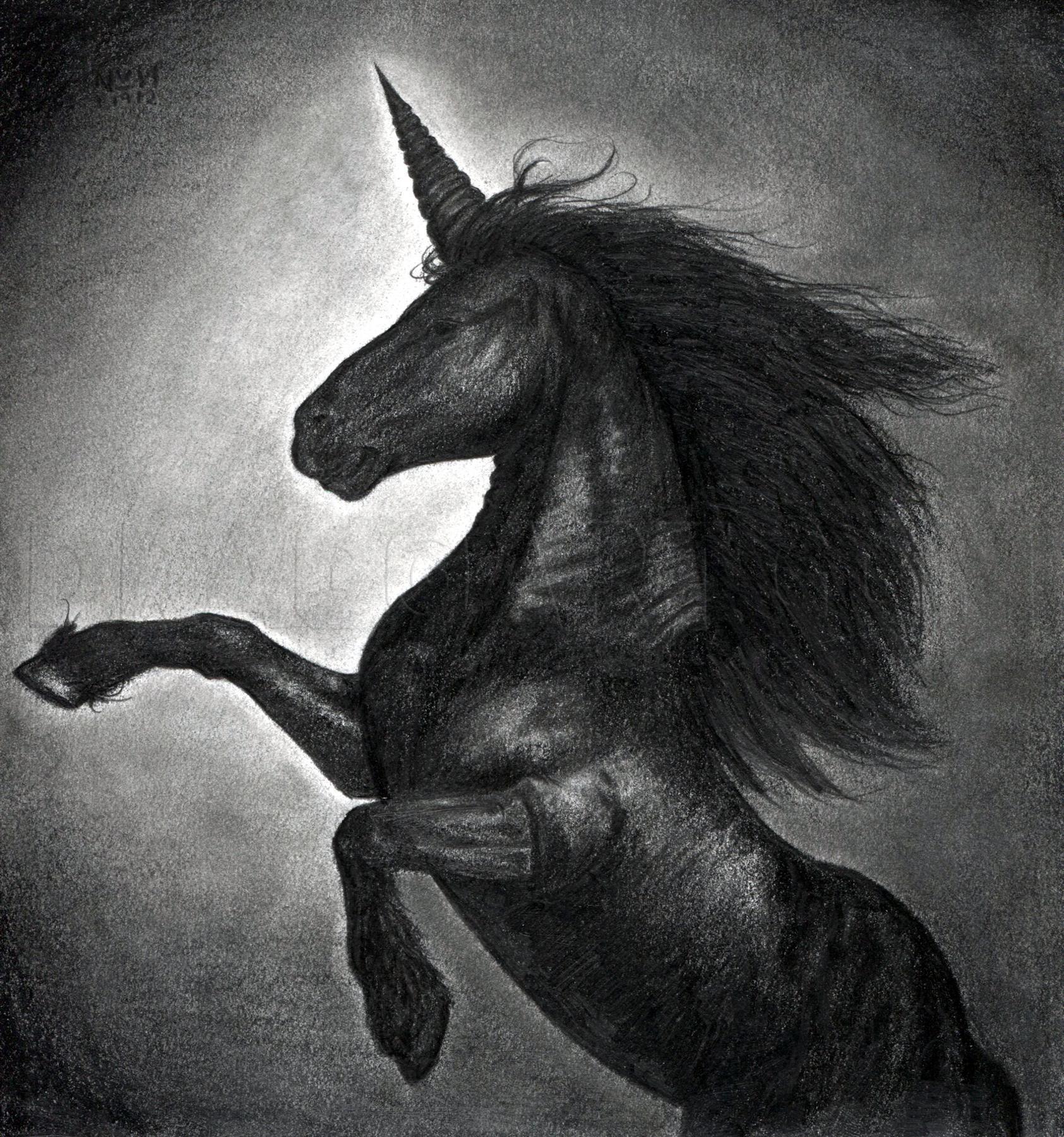 How To Draw A Dark Unicorn, Black Unicorn, Step by Step, Drawing Guide, by  finalprodigy - DragoArt