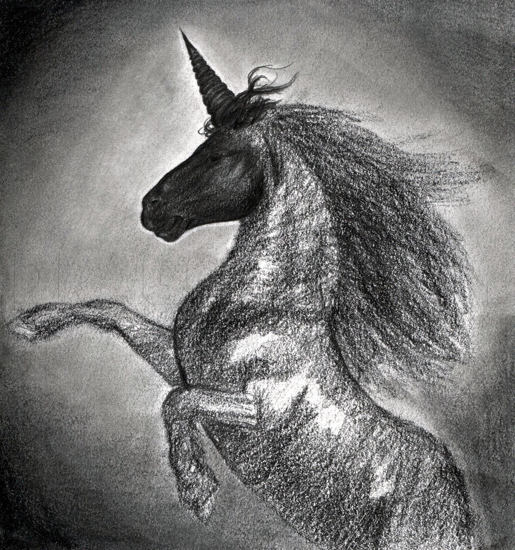 How To Draw A Dark Unicorn, Black Unicorn, Step by Step, Drawing Guide, by  finalprodigy - DragoArt