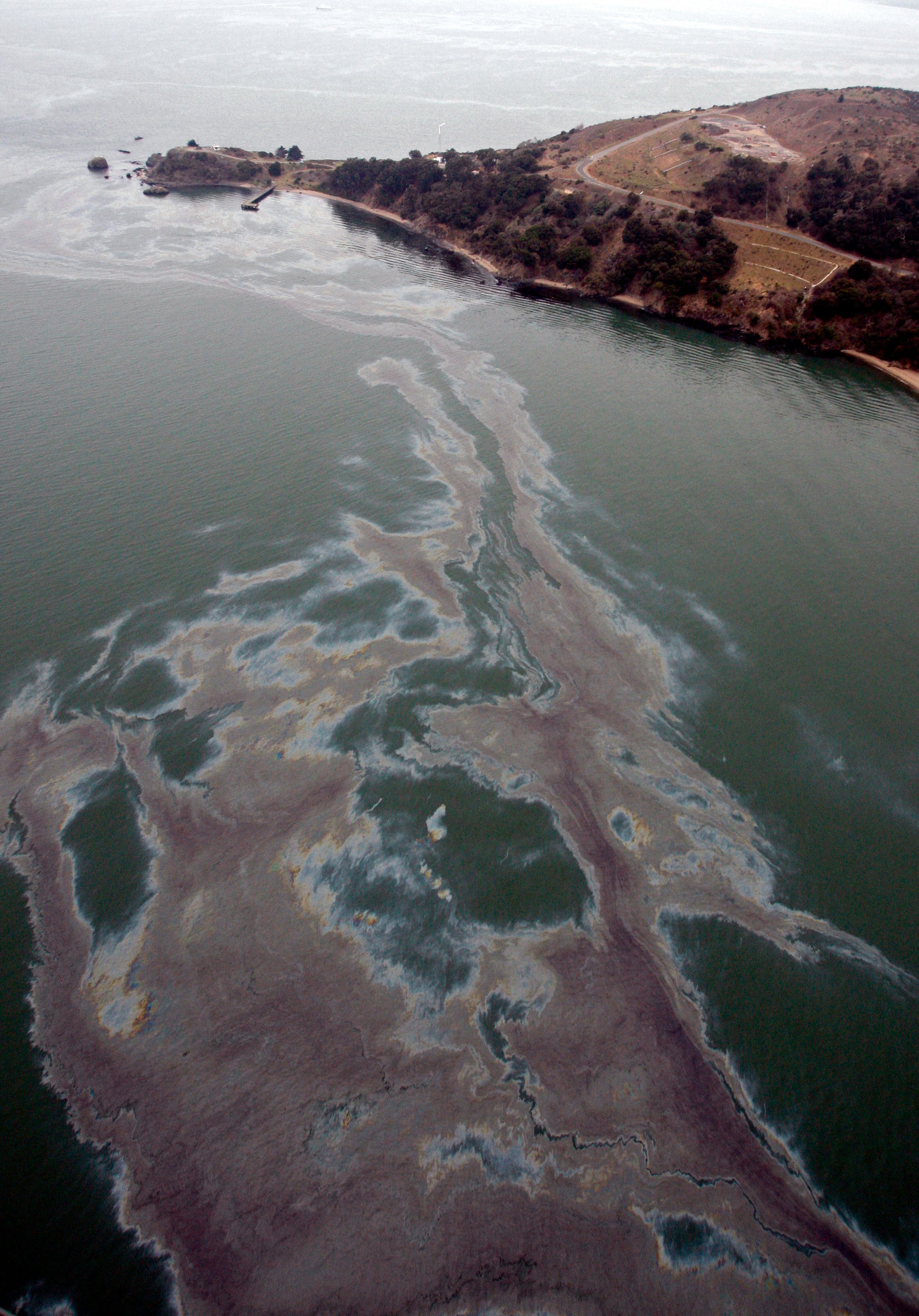 2007, cosco busan, san francisco, san francisco bay, oil spill