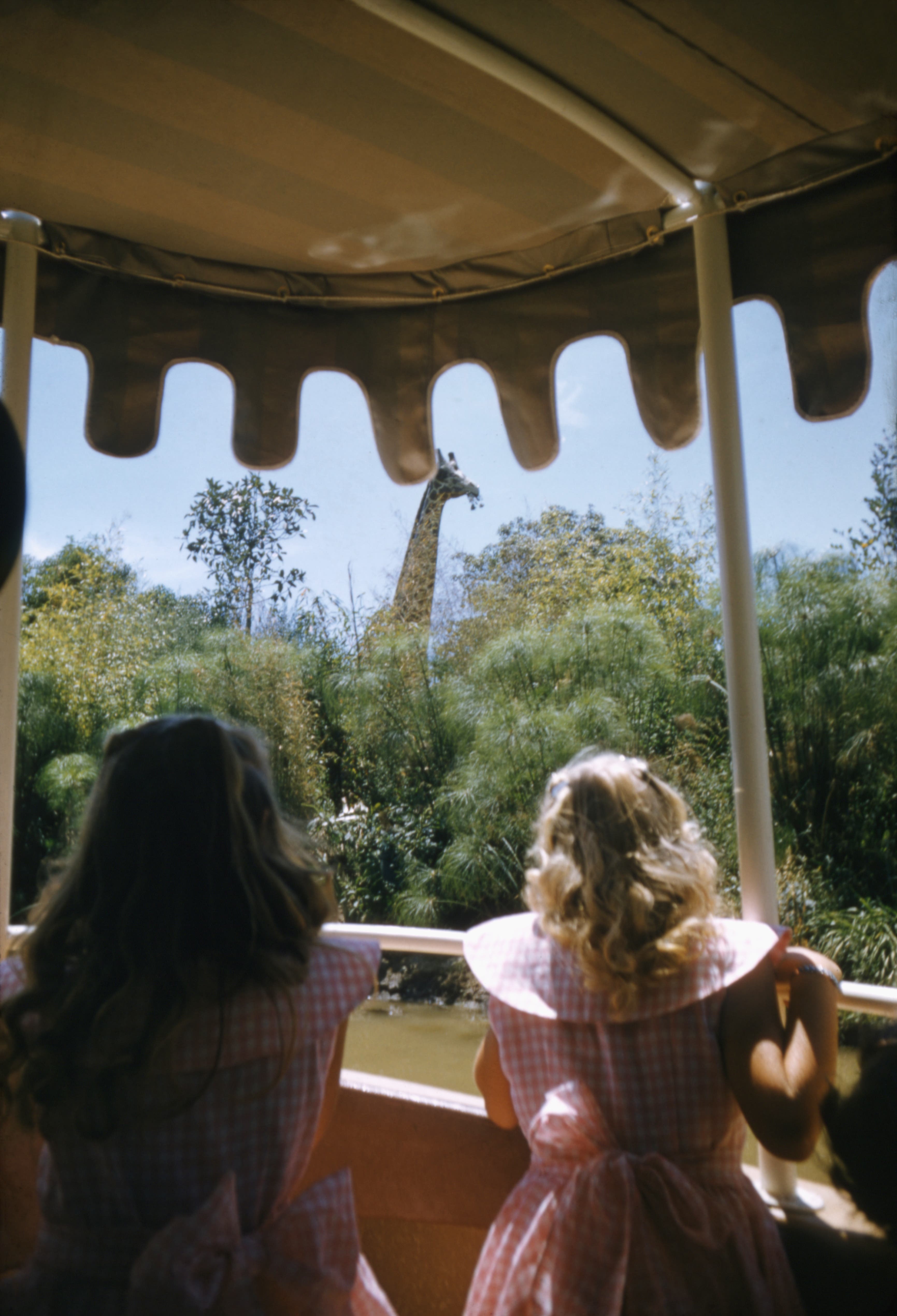 Disneyland Opening Day