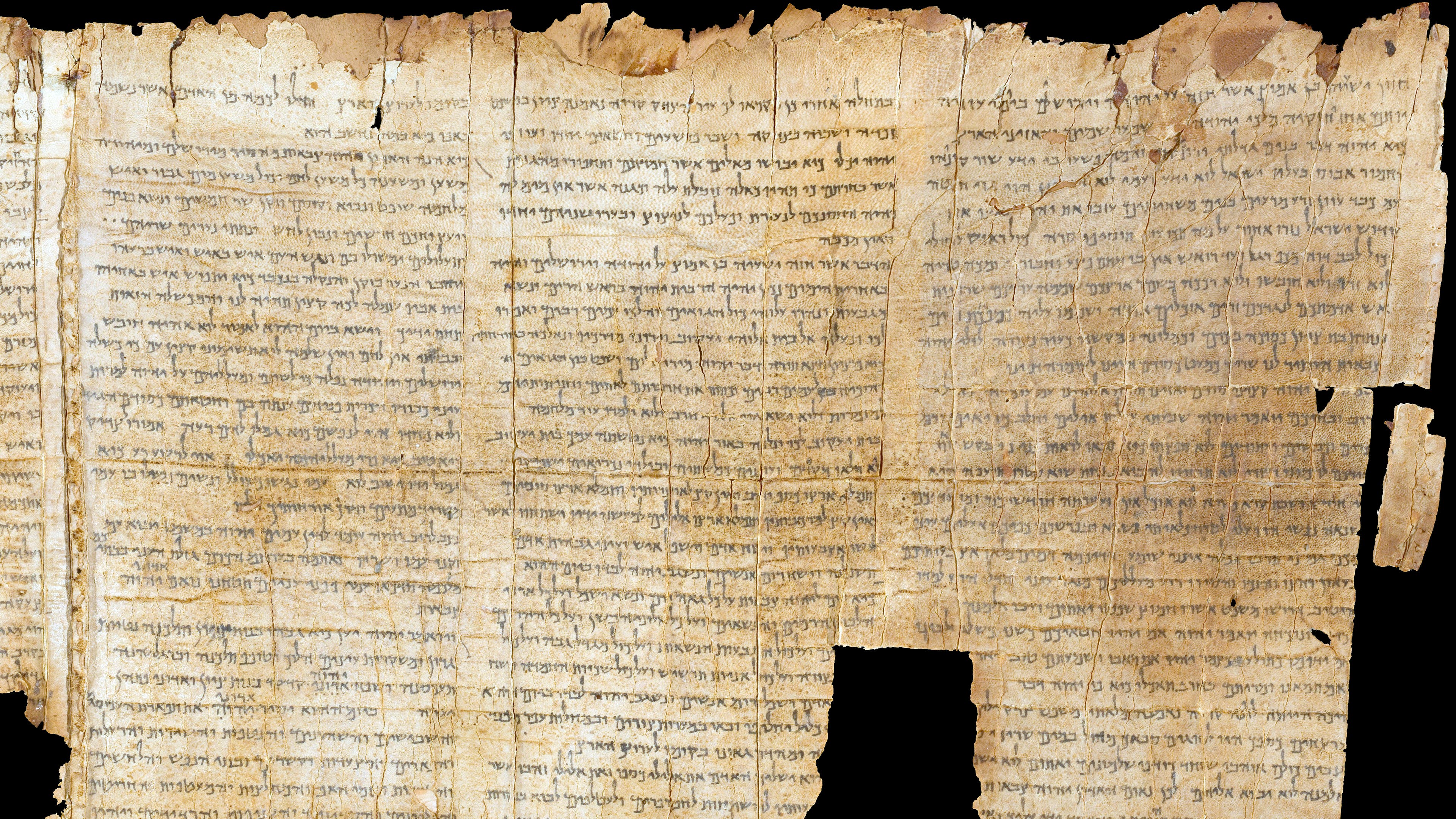 The Temple Scroll, from the Dead Sea Scrolls found at Qumran, scroll number 11Q20, late 1st century BC - early 1st century AD, ink on parchment, Israel Museum, Jerusalem.