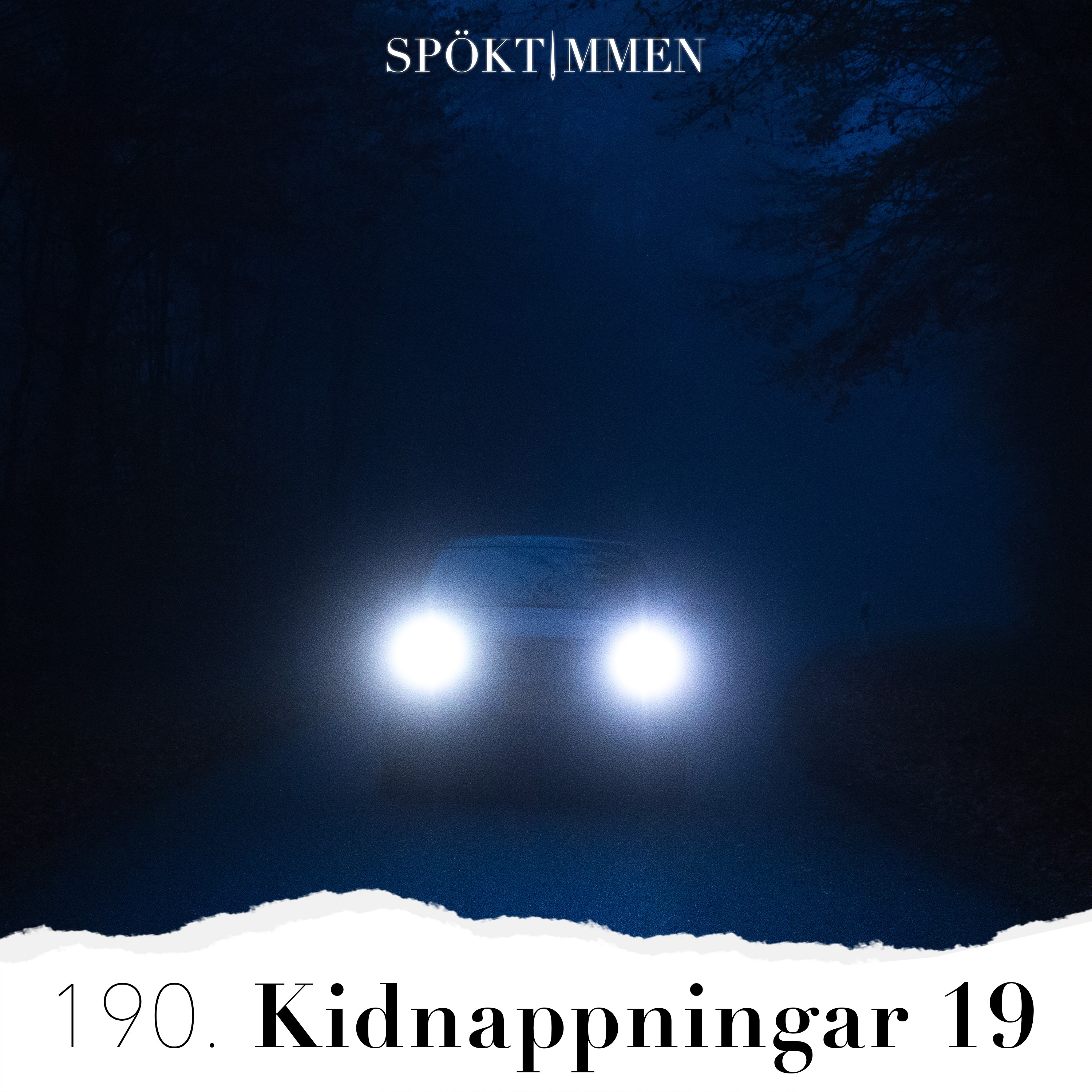 Kidnappningar 19