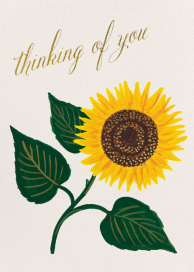 Sunflower Thank You - Sympathy Card by Rifle Paper Co.