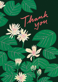 Lily Pads (Emily Isabella) - Thank You Card by Red Cap Cards