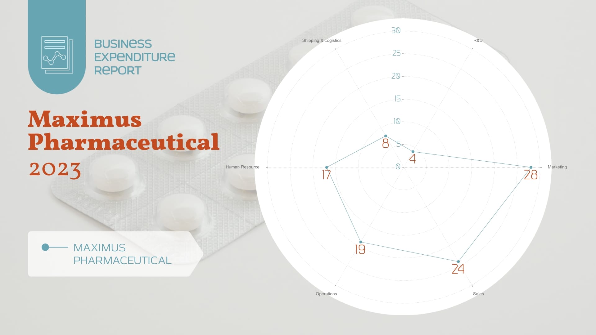 Business Expenditure Report - Radar Chart Template