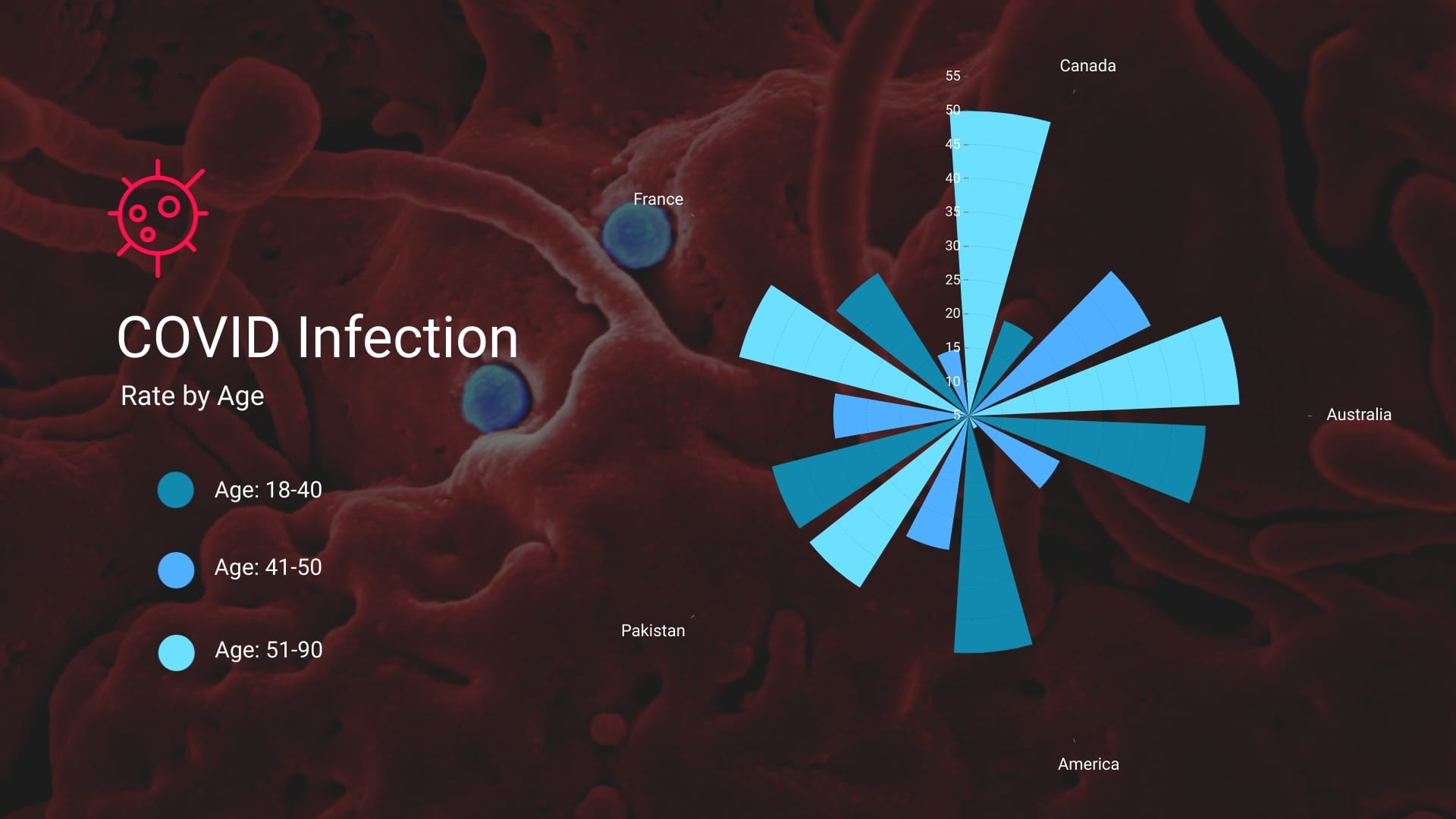 Covid Infection Polar Area Chart Template