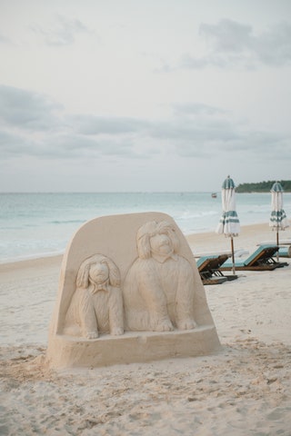 Image may contain Kazuya Minekura Beach Coast Nature Outdoors Sea Shoreline Water Sky Person Scenery and Animal