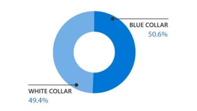 Gender distribution of work roles