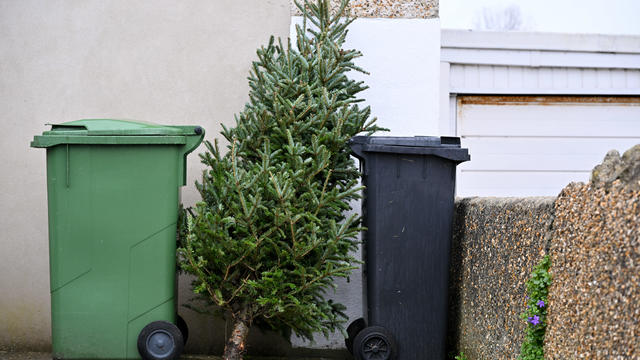 Leaf bags and Christmas tree 