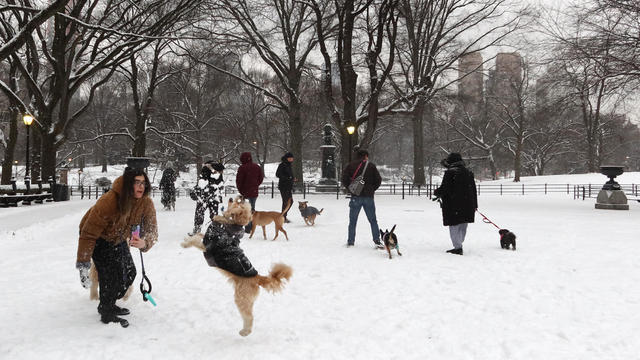 westbrook-am-vo-nyc-wx-wcbs8zph-hi-res-still.jpg 