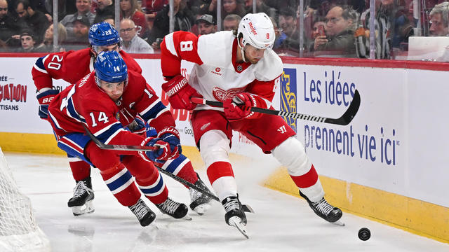 Detroit Red Wings vs Montreal Canadiens 