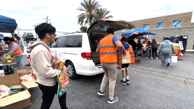 Volunteers place grocery items in the car trunks of recipients 