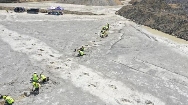 Britain Dinosaur Tracks 