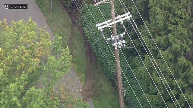 An overhead view of a road in Rumson, N.J. where there are tire tracks going off the road into a grassy area. 