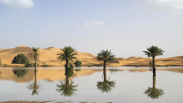 Palm trees are reflected in a lake caused by heavy rainfall in the desert town of Merzouga, near Rachidia, southeastern Morocco, Oct. 2, 2024. 