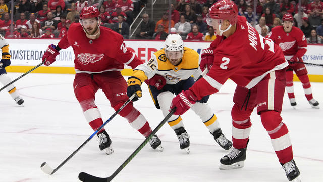 Predators Red Wings Hockey 