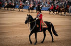 Trooping the Colour King Charles III 