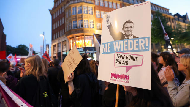 Demonstration against AfD in Hamburg 